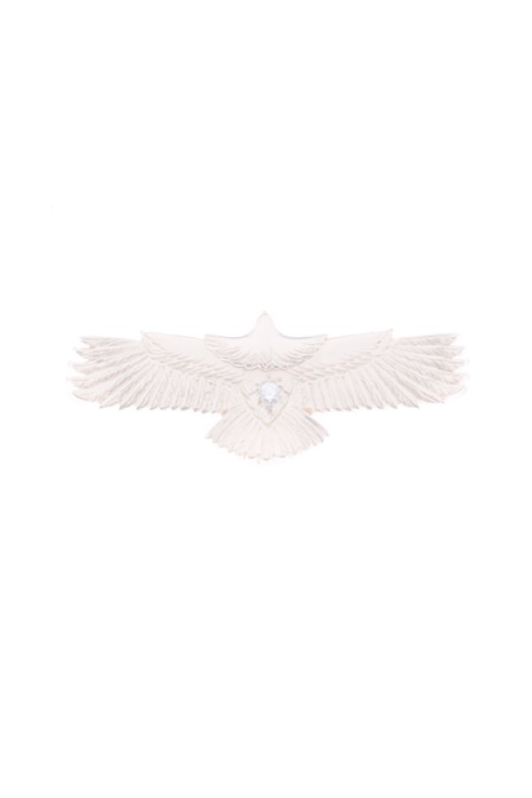 画像1:  {SOLD} Taro Washimi タロウ ワシミ 鷲見太郎 eagle eg-05K18PG / diamond2mm {-BJA}  :WT-202012-24-F  (1)
