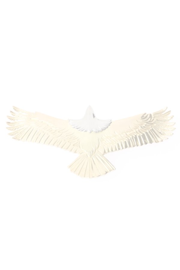 画像1:  {SOLD} Taro Washimi タロウ ワシミ 鷲見太郎 eagle eg-02/pt900・K18 {1E2-PTYG-BJS}  :WT-PENDANT-101-F  (1)
