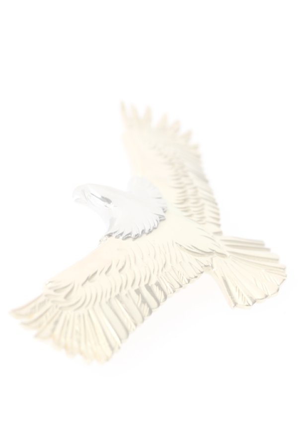 画像2:  {SOLD} Taro Washimi タロウ ワシミ 鷲見太郎 eagle eg-02/pt900・K18 {1E2-PTYG-BJS}  :WT-PENDANT-101-F  (2)
