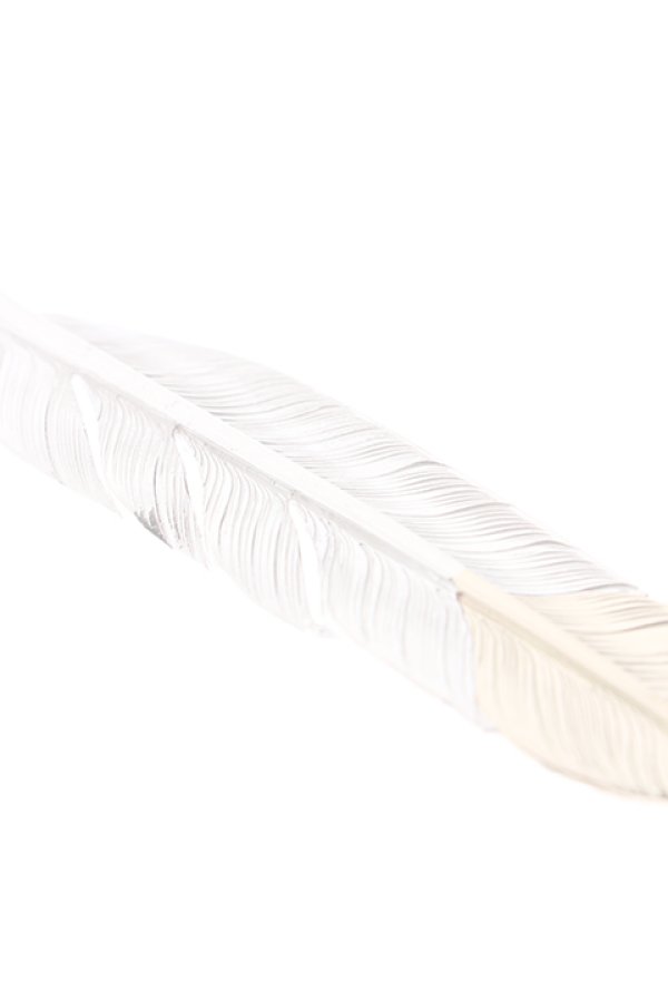 画像4:  {SOLD} Taro Washimi タロウ ワシミ 鷲見太郎 L flight feather K18 top 01 {1FFL01-TYG-BJS}  :WT-PENDANT-117-F  (4)
