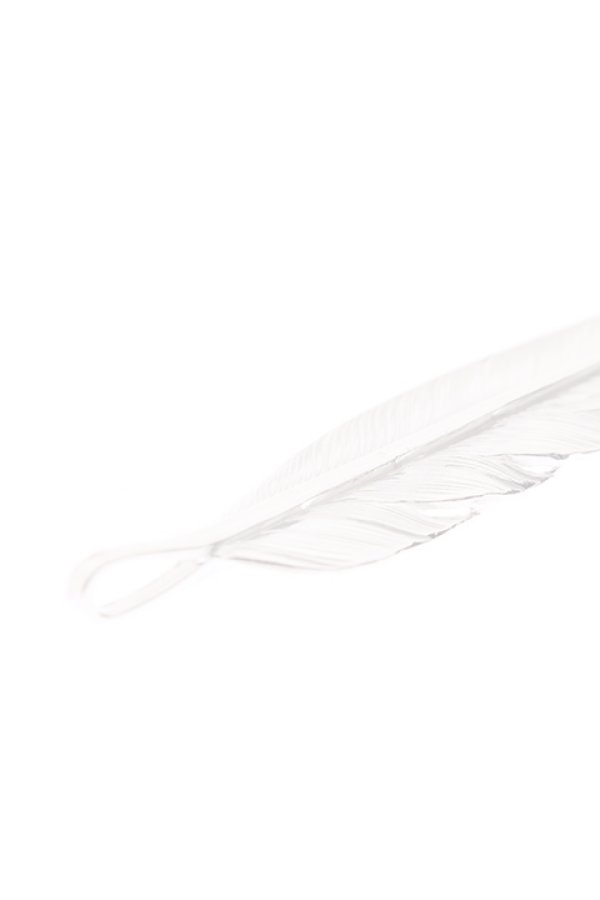 画像5:  {SOLD} Taro Washimi タロウ ワシミ 鷲見太郎 L flight feather K18 top 01 {1FFL01-TYG-BJS}  :WT-PENDANT-117-F  (5)